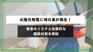 太陽光発電に鳩の巣が発生！被害のリスクと効果的な駆除対策を解説のアイキャッチ