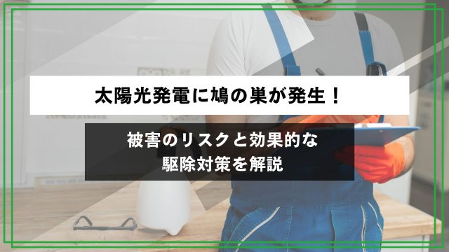 太陽光発電に鳩の巣が発生！被害のリスクと効果的な駆除対策を解説のアイキャッチ