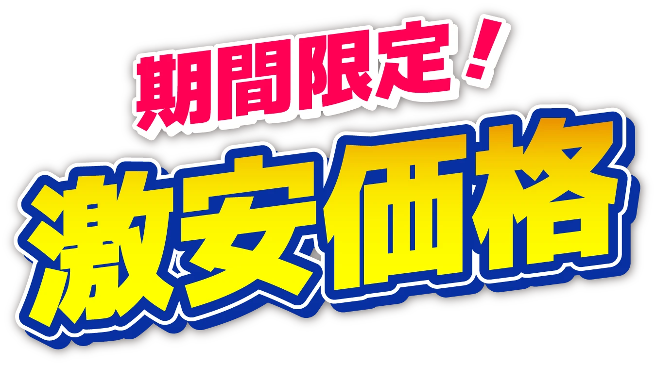 期間限定！激安価格