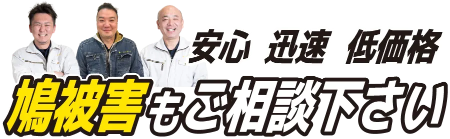 安心・迅速・低価格。鳩被害もご相談下さい